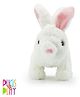 Hamleys Height 25 cm Huggable Cuddly Hopper Jumping Stuffed Toy Rabbit - Multicolor