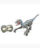 Hamleys 2.4G Roboraptor Dino Grey Grey 6Y+ | Safe & Gift-Friendly