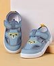 Cute Walk by Babyhug Velcro Closure Casual Shoes with Embroidery - Blue