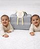 Little Hip Boutique Twice the Love  Unisex Twin Baby Gift Hamper- Gray