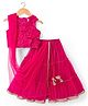 Babyhug Net Woven Sleeveless Embellished Choli & Tiered Lehenga Dupatta Set with Sequin Detailing & Floral Applique - Pink