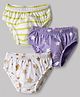 Babyhug 100% Cotton Knit Star Printed Briefs Pack of 3 - Multicolor