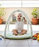NEW COMERS Infant Play Gym & Activity Mat with Colorful Toys for Tummy Time -Pista