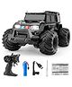 SANISHTH 1/16 4WD RC Amphibious Stunt Vehicle 2.4G Remote Controller Off-road Cars