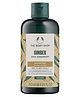 The Body Shop Ginger Anti Dandruff Shampoo - 250 ml