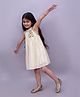 Lil' Drama Woven Sleeveless Shimmer & Floral Applique Detailed Pleated Dress - Cream