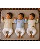 PREKIES Cotton Knit Pack Of 3 Full Sleeves Dinosaurs Printed Jhablas - Green & Blue