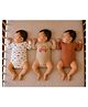 PREKIES Cotton Knit Pack Of 3 Full Sleeves Striped & Cars Printed Onesies - Multi Colour