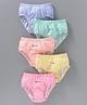 Bodycare Cotton Knit Striped Panties Pack Of 5 - Multicolour