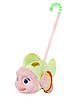 FunBlast Pull Along Fish Toy for Kids  Pack of 1 (Green)