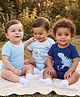 Kookie Kids 100% Cotton Knit Half Sleeves Striped & Dino Printed Onesies Pack Of 3 - Multicolor