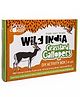 The Talking Canvas Wild India Grassland Gallopers DIY Kit