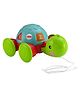 Fisher Price Pull Along Turtle - Multicolour