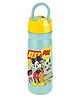 Milton Disney Max 600 Sipper Bottle Stainless Steel Water Bottle with Flip Spout Cover, Leak Proof Lid & Handle With Mickey Mouse Print Green - 500 ml