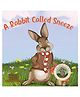 OSWAAL BOOKS Lil Legends: A Rabbit Called Sneeze -Handling fear