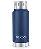 Pexpo Cameo Hot & Cold Stainless Steel Water Bottle Vacuum Insulated Leak Proof & BPA Free| Screw Cap Office, School, Gym, & Travelling 300 ml - Blue