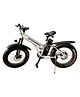 Nexzu Storm Boy E bike - White