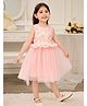 tior Mesh Woven Sleeveless Frill Detailed Floral Printed & Schiffli Embroidered Dress - Light Pink