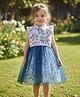 tior Woven Sleeveless Ruffle Detailed & Floral Printed Dress - Blue