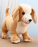 Funzoo Height 45 cm Dwary Pug Plush Soft Toy  Brown