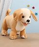 FUNZOO 35 cm Dwarfy Pug Soft Plush Stuffed Toy - Brown