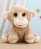 FUNZOO 20 cm Glitter Eyes Monkey Soft Plush Stuffed Toy - Brown