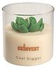 Skinvest Scented Soy Wax Candle | Coffee Crème Fragrance | Up to 40 Hours Burn Time | Home Decor & Gift Set | 200g