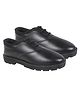 Trump Solid Lace Up School Shoes - Black