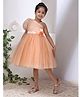 Toy Balloon Kids Net Woven Half Puffed Sleeves Floral Applique Detailed Dress - Peach