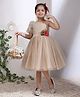 Toy Balloon Kids Net Woven Half Puffed Sleeves Floral Applique Detailed Dress - Beige