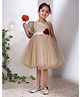 Toy Balloon Kids Satin Woven Sleeveless Stone Embellished Floral Applique Detailed Dress - Golden