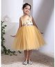 Toy Balloon Kids Satin Woven Sleeveless Floral Applique Detailed Dress - Golden