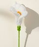 MOMISY Handmade Crochet Artificial Calla Lily Flower with Stem (White)