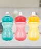 Nuby Easy Grip Soft Spout Cup | Soft Silicone | BPA Free | 6m+ | 300 ml | Pack Of 3 - Girl Edition