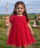 Babyhug Mesh Woven Half Sleeves Fit & Flare Party Peter Pan Collared Frock With Swiss Dot Detailing - Red
