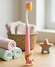 Boxot Impex BOXOT IMPEX Ultra Soft Bristle Toothbrush (Color and Design May Vary)