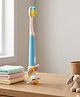 BOXOT IMPEX Ultra Soft Bristle Toothbrush (Color and Design May Vary)