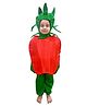 BookMyCostume Full Sleeves Apple Fancy Dress Costume Set - Green & Red