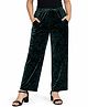 CHILINS Velvet Knit Solid Pant - Dark Green
