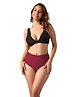 Mahina Cotton Solid Reusable & Leak Proof High Rise Period Panty With Heavy Flow - Red