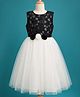 Pine Kids Mesh Woven Sleeveless Party Dress with Sequin Detailing & Floral Applique - Black