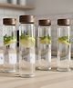 STOR Borosilicate Glass Bottle, 1000 ml | Pack of 4 | Leakproof Drinking Water Bottle | For Home, Office & Gym