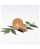 BrainyTots Interlocking Discs Neem Teether  Natural Wood