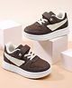 Cute Walk by Babyhug Velcro Closure Solid Sneaker Shoes - Brown