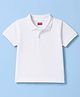 Babyhug 100% Cotton Knit Half Sleeves Solid Polo T-Shirt - White
