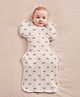 Love to Dream Swaddle Up - Panda, Cotton, 1.0T