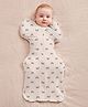 Love to Dream Swaddle Up - Panda, Cotton, 1.0T