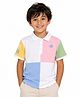 My Milestones 100% Cotton Knit Half Sleeves Colour Blocked Polo Tee - Multi Colour