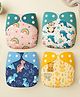 Blushbaby Premium Reusable Cloth Diapers for Babies | 3 Months3 Years | 4 Washable Diapers with 4 Absorbent Insert Pads | Adjustable, Leakage Proof Cloth Diapers for Babies |dino,dolphin,beer,rainbow