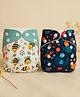Blushbaby Premium Reusable Cloth Diapers for Babies - Pack of 2